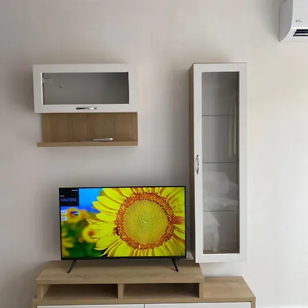 Aiginsflat Apartment